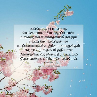 Picture 07 - எரேமியா 4:10 TAMIRV - அப்பொழுது நான்: ஆ! - Bible Verse Picture