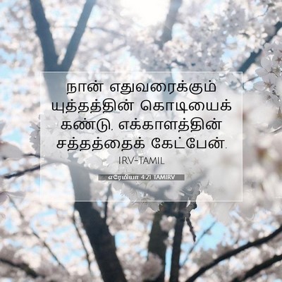 Picture 07 - எரேமியா 4:21 TAMIRV - நான் எதுவரைக்கும் - Bible Verse Picture