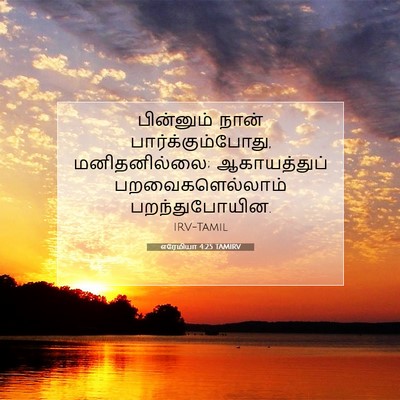 Picture 07 - எரேமியா 4:25 TAMIRV - பின்னும் நான் - Bible Verse Picture