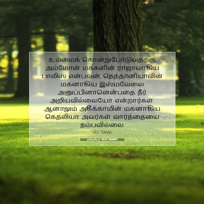 Picture 07 - எரேமியா 40:14 TAMIRV - உம்மைக் - Bible Verse Picture
