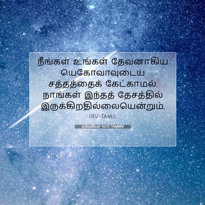 Picture 07 - எரேமியா 42:13 TAMIRV - நீங்கள் உங்கள் - Bible Verse Picture