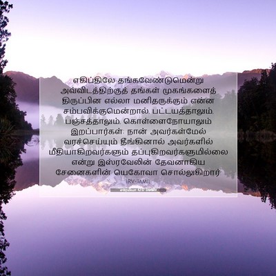 Picture 07 - எரேமியா 42:17 TAMIRV - எகிப்திலே - Bible Verse Picture