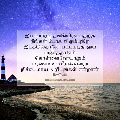 Picture 07 - எரேமியா 42:22 TAMIRV - இப்போதும் - Bible Verse Picture