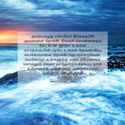 Picture 07 - எரேமியா 42:4 TAMIRV - அப்பொழுது எரேமியா - Bible Verse Picture
