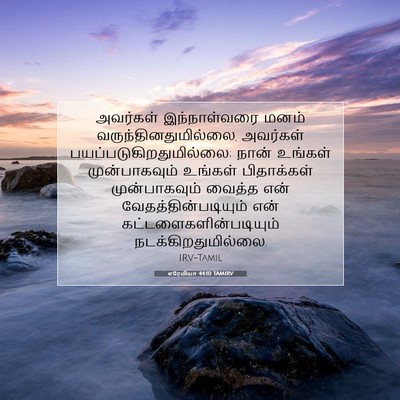 Picture 07 - எரேமியா 44:10 TAMIRV - அவர்கள் - Bible Verse Picture