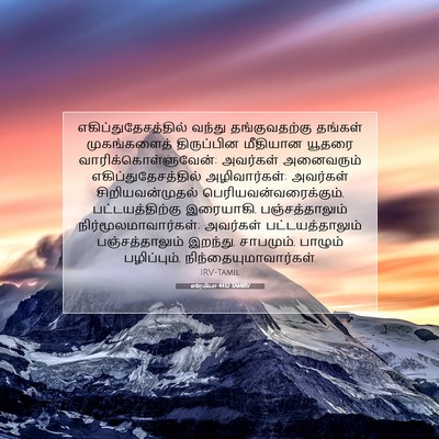 Picture 07 - எரேமியா 44:12 TAMIRV - எகிப்துதேசத்தில் - Bible Verse Picture