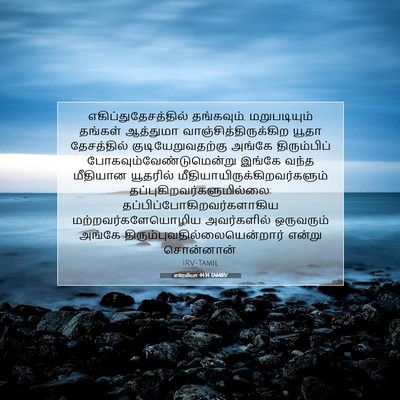 Picture 07 - எரேமியா 44:14 TAMIRV - எகிப்துதேசத்தில் - Bible Verse Picture