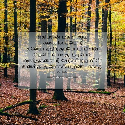 Picture 07 - எரேமியா 46:11 TAMIRV - எகிப்தின் மகளாகிய - Bible Verse Picture