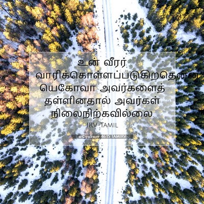 Picture 07 - எரேமியா 46:15 TAMIRV - உன் வீரர் - Bible Verse Picture