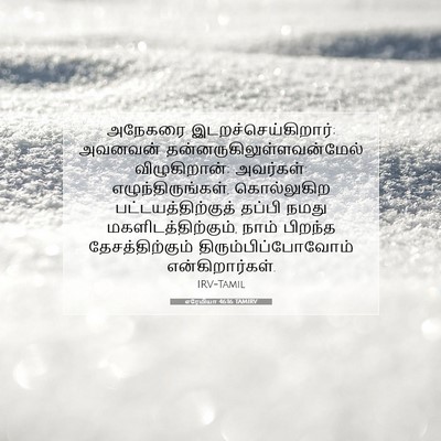 Picture 07 - எரேமியா 46:16 TAMIRV - அநேகரை - Bible Verse Picture