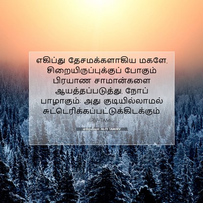 Picture 07 - எரேமியா 46:19 TAMIRV - எகிப்து - Bible Verse Picture