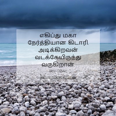 Picture 07 - எரேமியா 46:20 TAMIRV - எகிப்து மகா - Bible Verse Picture