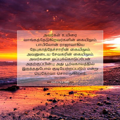 Picture 07 - எரேமியா 46:26 TAMIRV - அவர்கள் உயிரை - Bible Verse Picture
