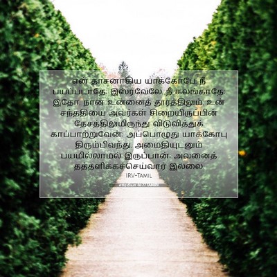 Picture 07 - எரேமியா 46:27 TAMIRV - என் தாசனாகிய - Bible Verse Picture