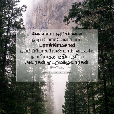 Picture 07 - எரேமியா 46:6 TAMIRV - வேகமாய் ஓடுகிறவன் - Bible Verse Picture
