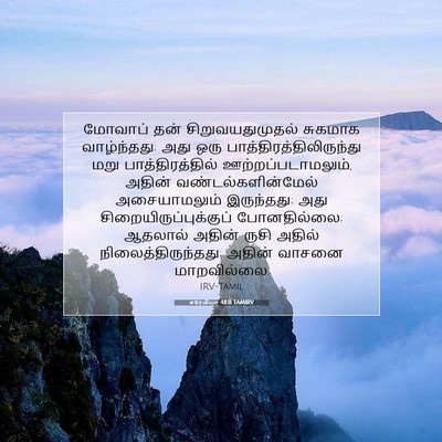 Picture 07 - எரேமியா 48:11 TAMIRV - மோவாப் தன் - Bible Verse Picture