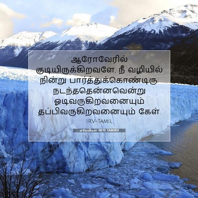 Picture 07 - எரேமியா 48:19 TAMIRV - ஆரோவேரில் - Bible Verse Picture