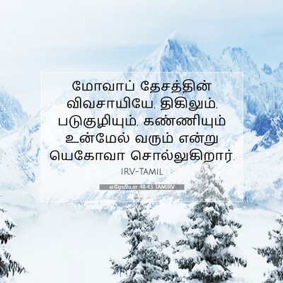 Picture 07 - எரேமியா 48:43 TAMIRV - மோவாப் தேசத்தின் - Bible Verse Picture