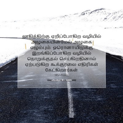 Picture 07 - எரேமியா 48:5 TAMIRV - லூகித்திற்கு - Bible Verse Picture