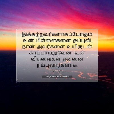 Picture 07 - எரேமியா 49:11 TAMIRV -  - Bible Verse Picture