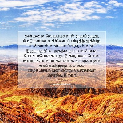 Picture 07 - எரேமியா 49:16 TAMIRV - கன்மலை - Bible Verse Picture