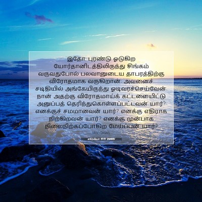 Picture 07 - எரேமியா 49:19 TAMIRV - இதோ, புரண்டு - Bible Verse Picture