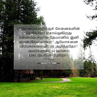 Picture 07 - எரேமியா 49:7 TAMIRV -  - Bible Verse Picture