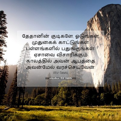 Picture 07 - எரேமியா 49:8 TAMIRV - தேதானின் குடிகளே, - Bible Verse Picture
