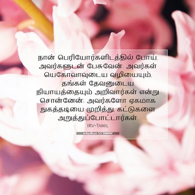 Picture 07 - எரேமியா 5:5 TAMIRV - நான் - Bible Verse Picture