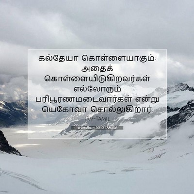 Picture 07 - எரேமியா 50:10 TAMIRV - கல்தேயா - Bible Verse Picture