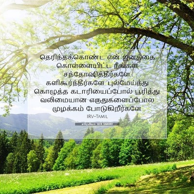 Picture 07 - எரேமியா 50:11 TAMIRV - தெரிந்தக்கொண்ட - Bible Verse Picture