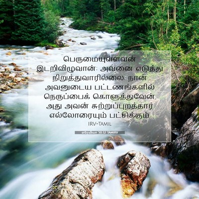 Picture 07 - எரேமியா 50:32 TAMIRV - பெருமையுள்ளவன் - Bible Verse Picture