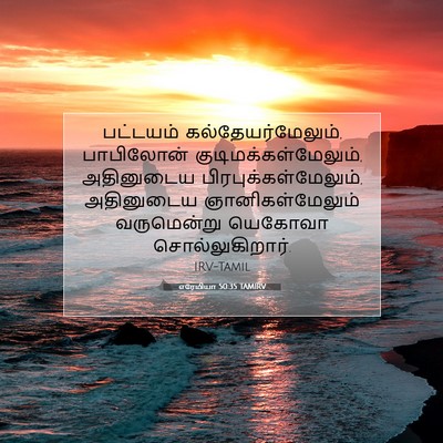 Picture 07 - எரேமியா 50:35 TAMIRV - பட்டயம் - Bible Verse Picture