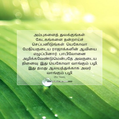 Picture 07 - எரேமியா 51:11 TAMIRV - அம்புகளைத் - Bible Verse Picture