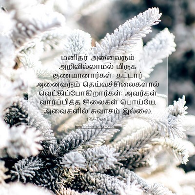 Picture 07 - எரேமியா 51:17 TAMIRV - மனிதர் அனைவரும் - Bible Verse Picture