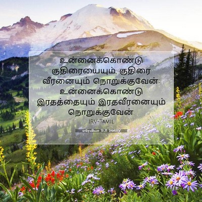 Picture 07 - எரேமியா 51:21 TAMIRV - உன்னைக்கொண்டு - Bible Verse Picture