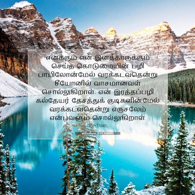 Picture 07 - எரேமியா 51:35 TAMIRV - எனக்கும் என் - Bible Verse Picture