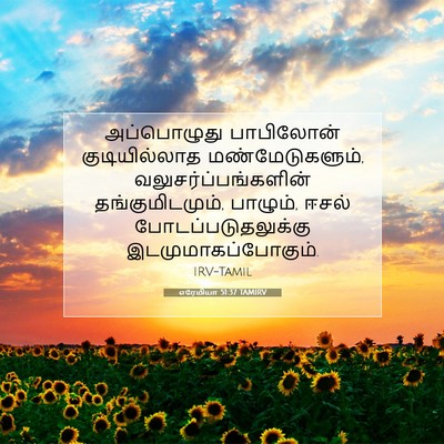 Picture 07 - எரேமியா 51:37 TAMIRV - அப்பொழுது - Bible Verse Picture
