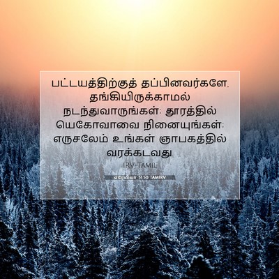 Picture 07 - எரேமியா 51:50 TAMIRV - பட்டயத்திற்குத் - Bible Verse Picture
