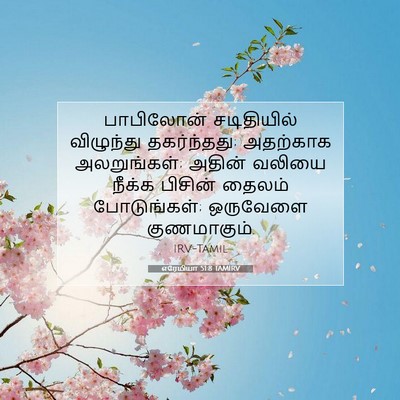 Picture 07 - எரேமியா 51:8 TAMIRV - பாபிலோன் - Bible Verse Picture