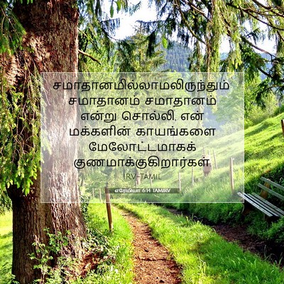 Picture 07 - எரேமியா 6:14 TAMIRV -  - Bible Verse Picture