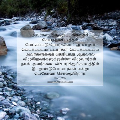 Picture 07 - எரேமியா 6:15 TAMIRV - அவர்கள் - Bible Verse Picture