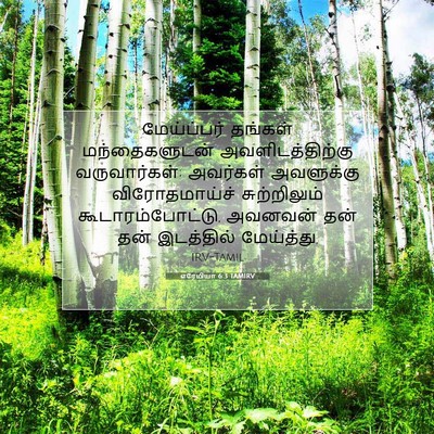 Picture 07 - எரேமியா 6:3 TAMIRV - மேய்ப்பர் தங்கள் - Bible Verse Picture
