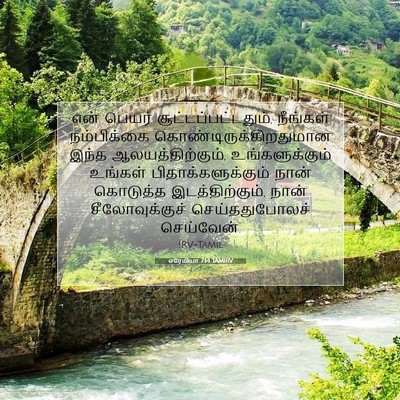 Picture 07 - எரேமியா 7:14 TAMIRV - என் பெயர் - Bible Verse Picture