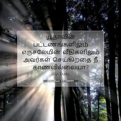 Picture 07 - எரேமியா 7:17 TAMIRV - யூதாவின் - Bible Verse Picture