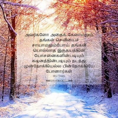 Picture 07 - எரேமியா 7:24 TAMIRV - அவர்களோ அதைக் - Bible Verse Picture