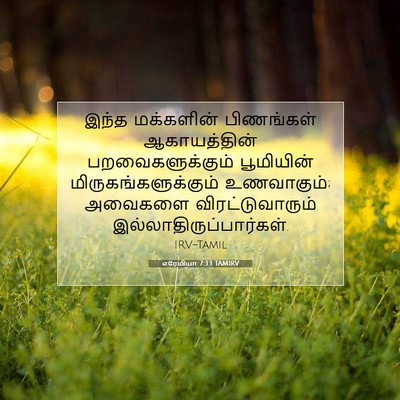 Picture 07 - எரேமியா 7:33 TAMIRV - இந்த மக்களின் - Bible Verse Picture