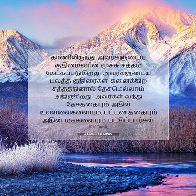 Picture 07 - எரேமியா 8:16 TAMIRV - தாணிலிருந்து - Bible Verse Picture