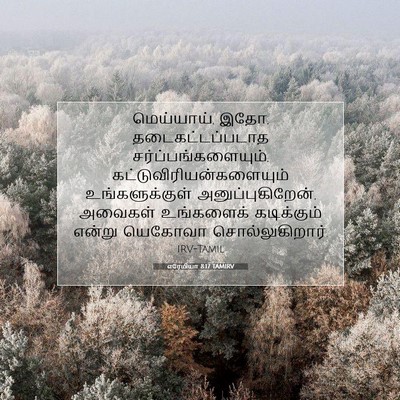 Picture 07 - எரேமியா 8:17 TAMIRV - மெய்யாய், இதோ, - Bible Verse Picture