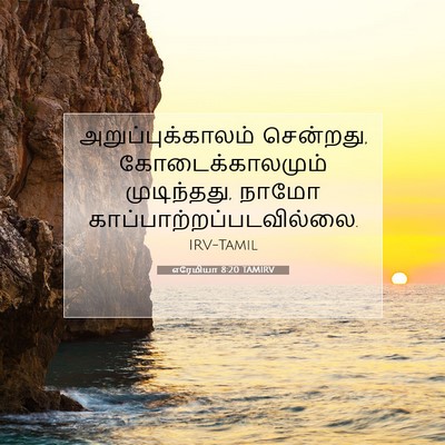 Picture 07 - எரேமியா 8:20 TAMIRV - அறுப்புக்காலம் - Bible Verse Picture